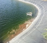 Bassin avant installation avec algues