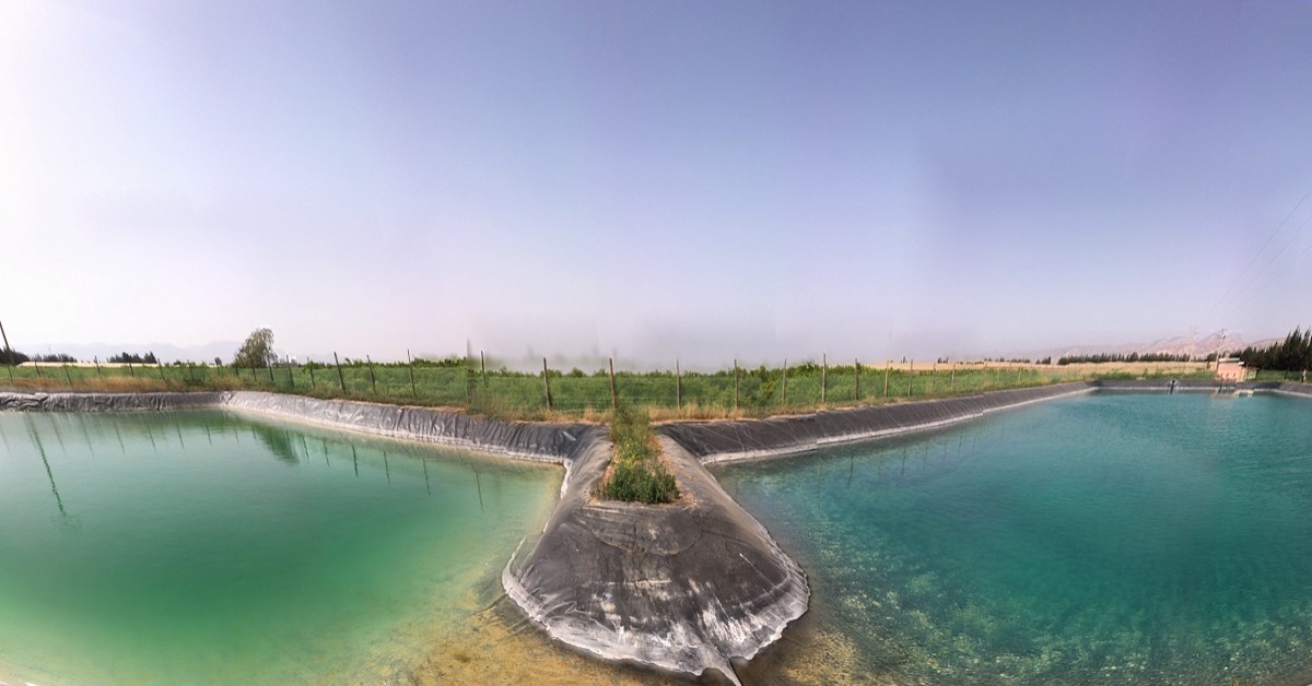 Ponds with Algae Control