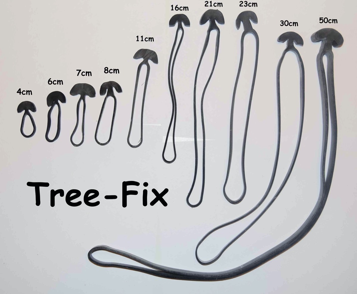De handige boombinders van het gamma TREE - FIX
